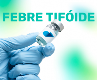 Febre Tifóide
