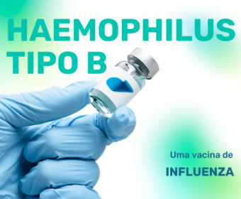 Haemophilus Influenzae Tipo B