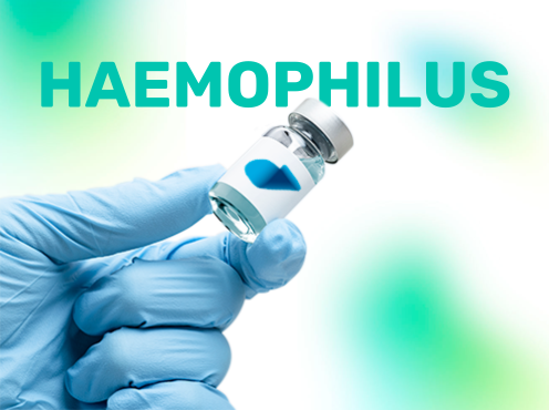 Haemophilus Influenzae Tipo B