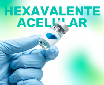 Hexavalente Acelular (GSK)