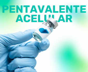 Pentavalente Acelular (GSK)