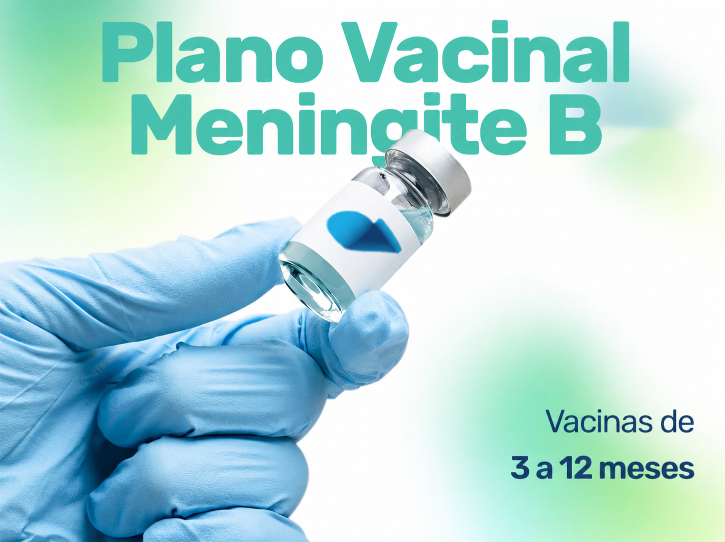 Plano Vacinal Meningite B