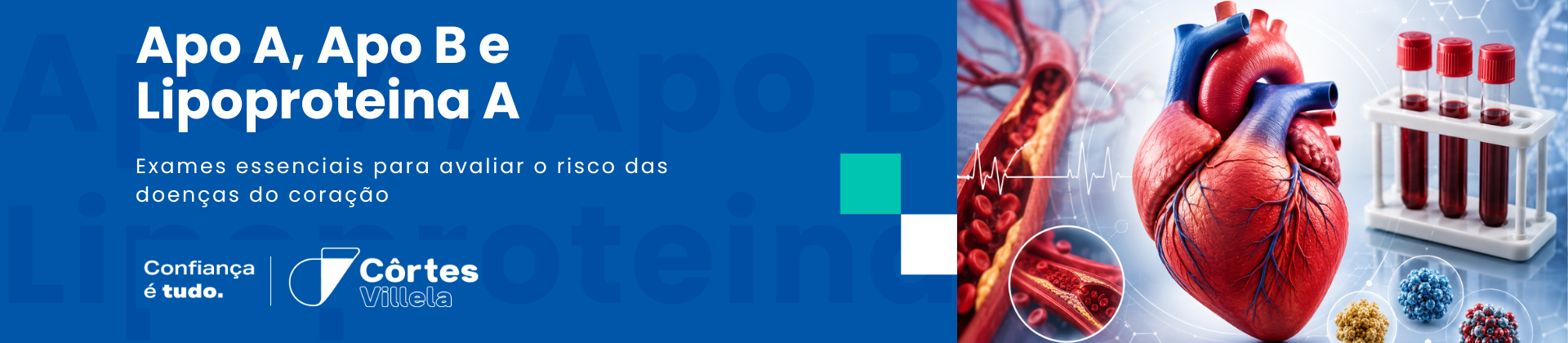 Você sabe quais os principais exames são essenciais para avaliar o risco das doenças do coração?