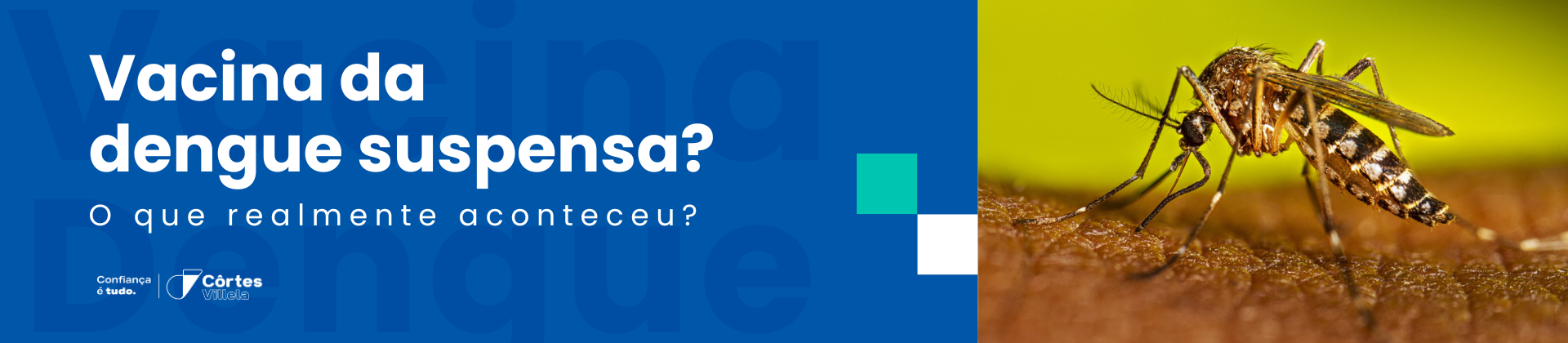 Vacina da dengue suspensa? O que realmente aconteceu?